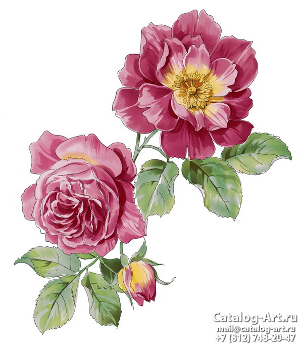 Pink roses 35